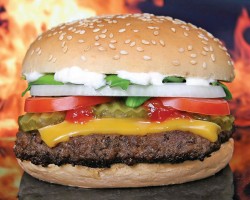 A cheeseburger, the future of Kosher cooking?